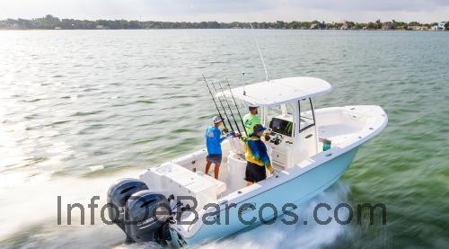 Sea Hunt Gamefish 25 ficha técnica y opiniones